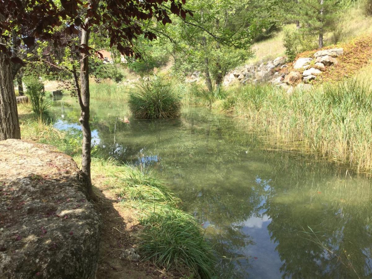 Saint-Martin-de-Brômes Mazet Lavande מראה חיצוני תמונה