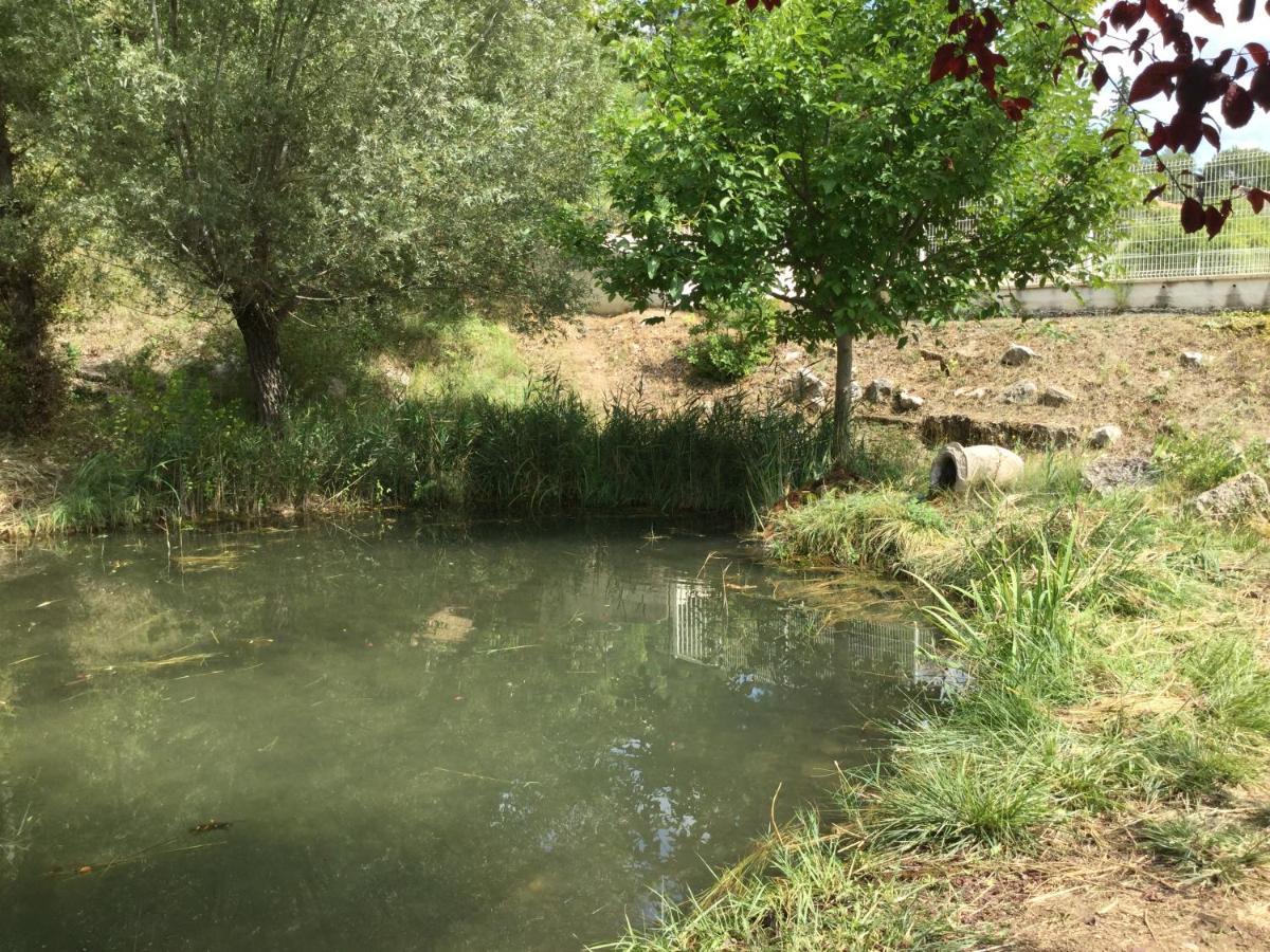 Saint-Martin-de-Brômes Mazet Lavande מראה חיצוני תמונה